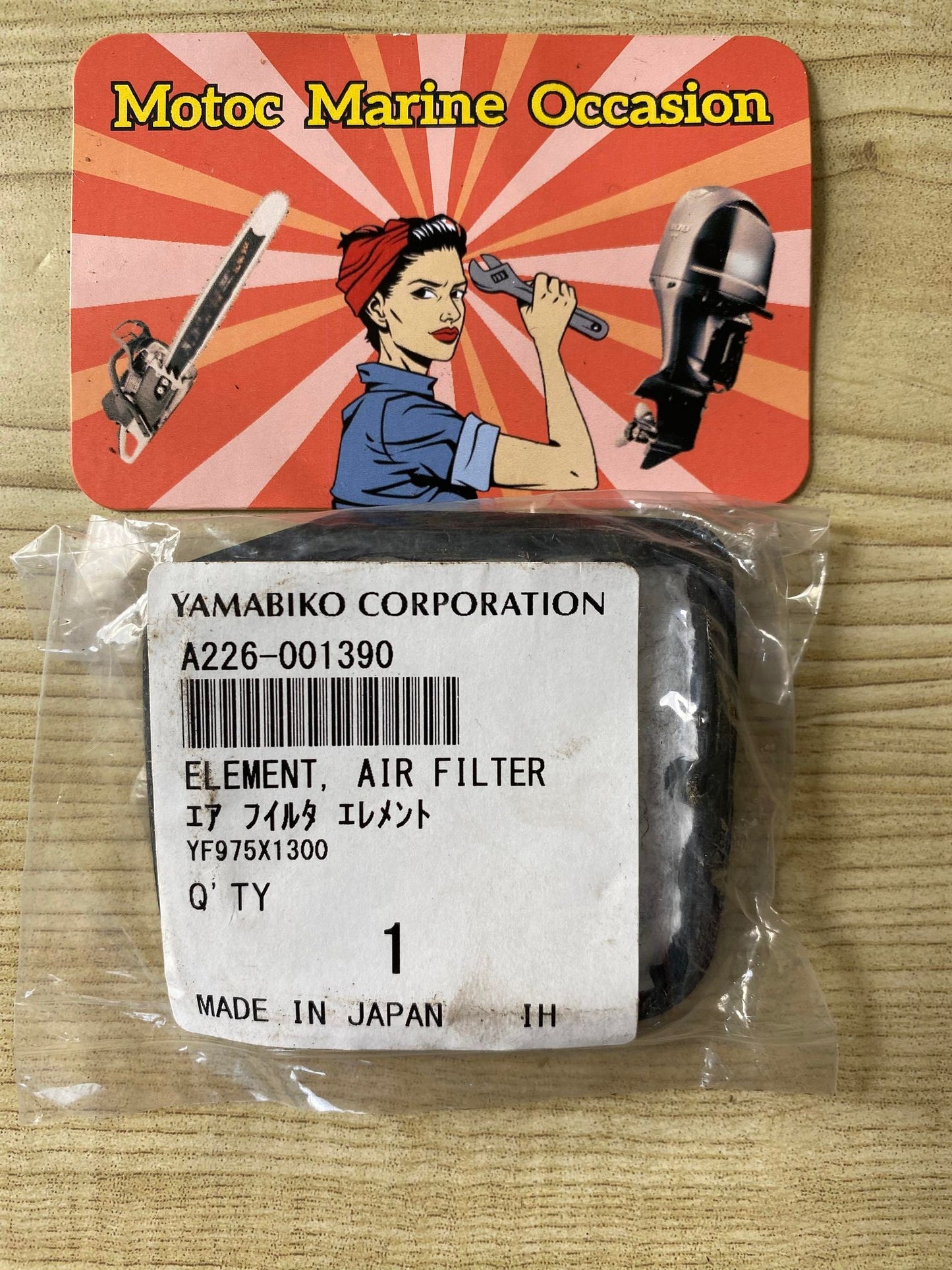 FILTRE A AIR ECHO
