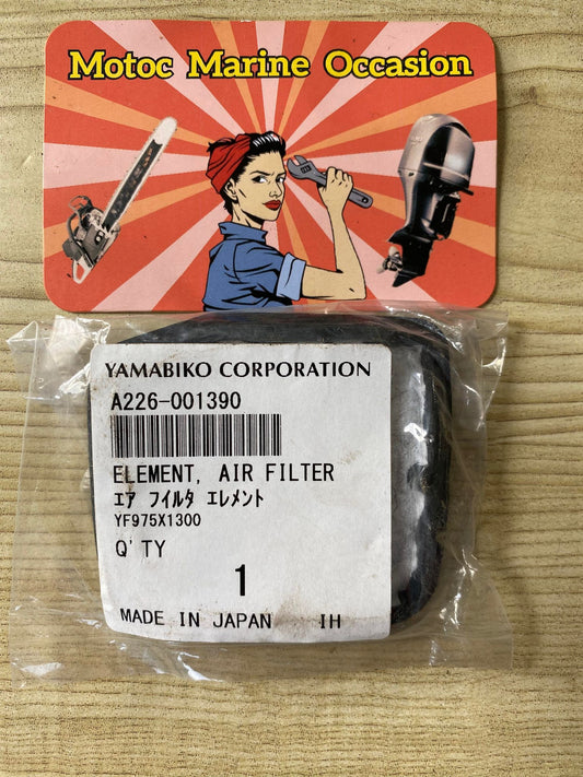 FILTRE A AIR ECHO
